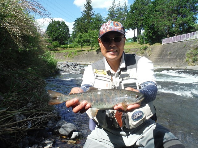 梅雨入り前に東桂エリアで手にした尺ヤマメ。「こんな夢のある魚も泳ぐ桂川でぜひ渓流釣りを楽しんでください！」