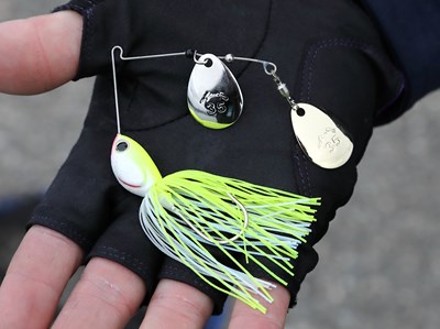 スピナーベイト