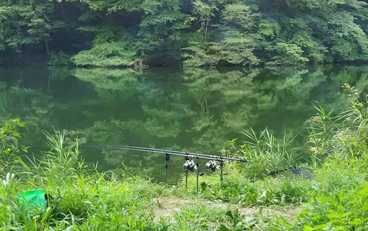 コイ釣り 埼玉県本庄市 間瀬湖 全国おすすめ釣り場