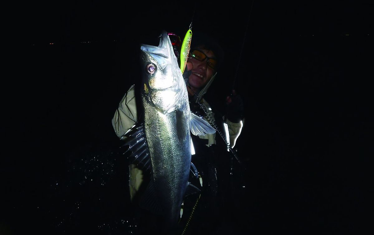 シーバス釣り 千葉県 盤洲干潟 全国おすすめ釣り場