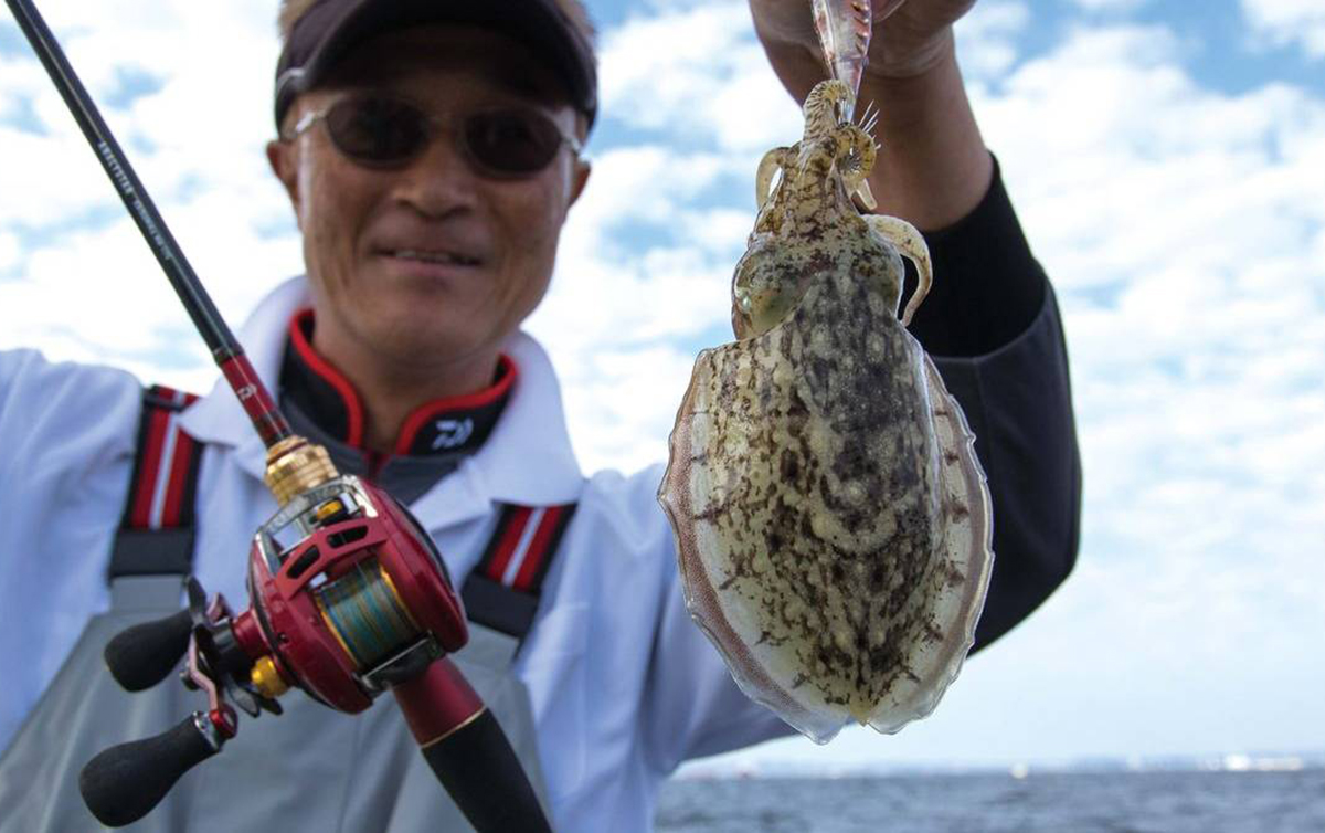 スミイカ釣り／釣期は10～1月。東京湾の美味ターゲット