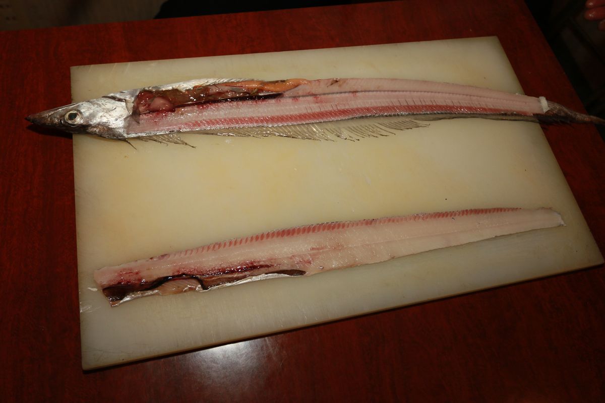 7. 尾の手前で切り離せば表面が完成