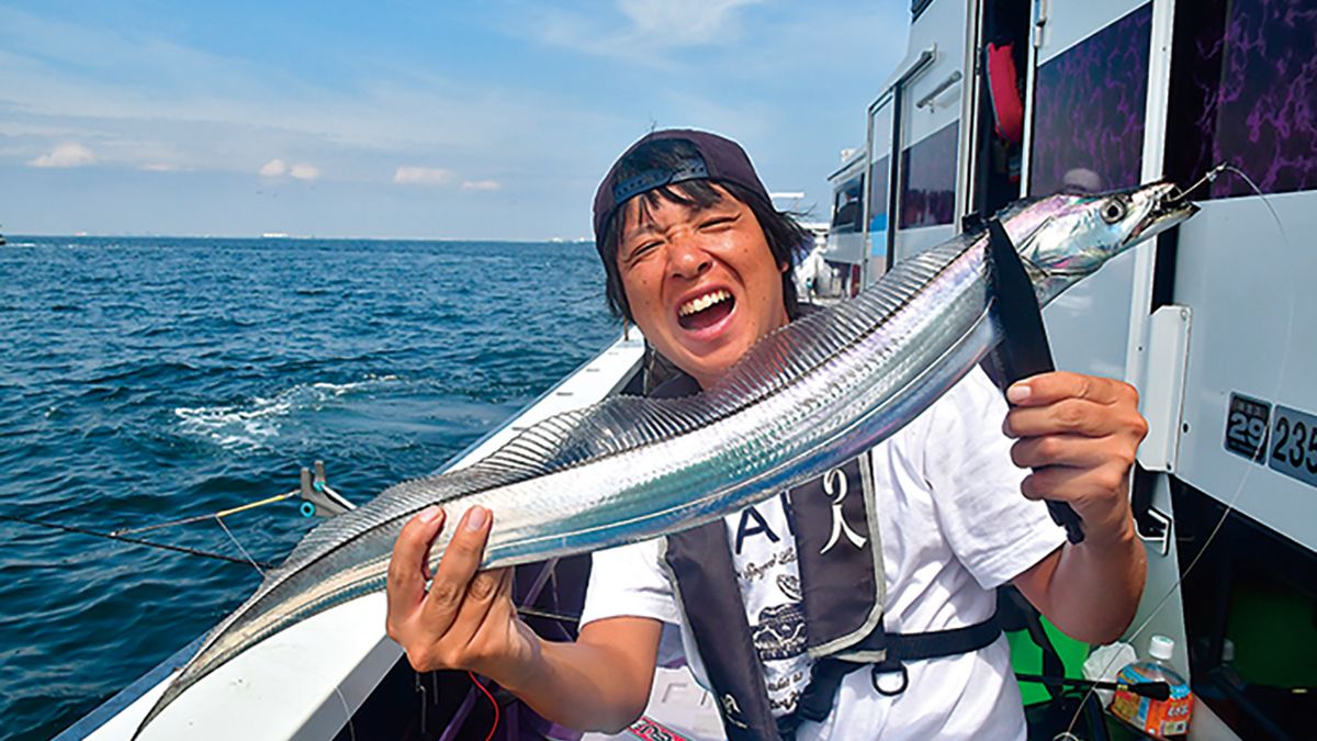 東京湾でタチウオが年中釣れるようになった理由とは 生態面から考察 後編 環境レポート