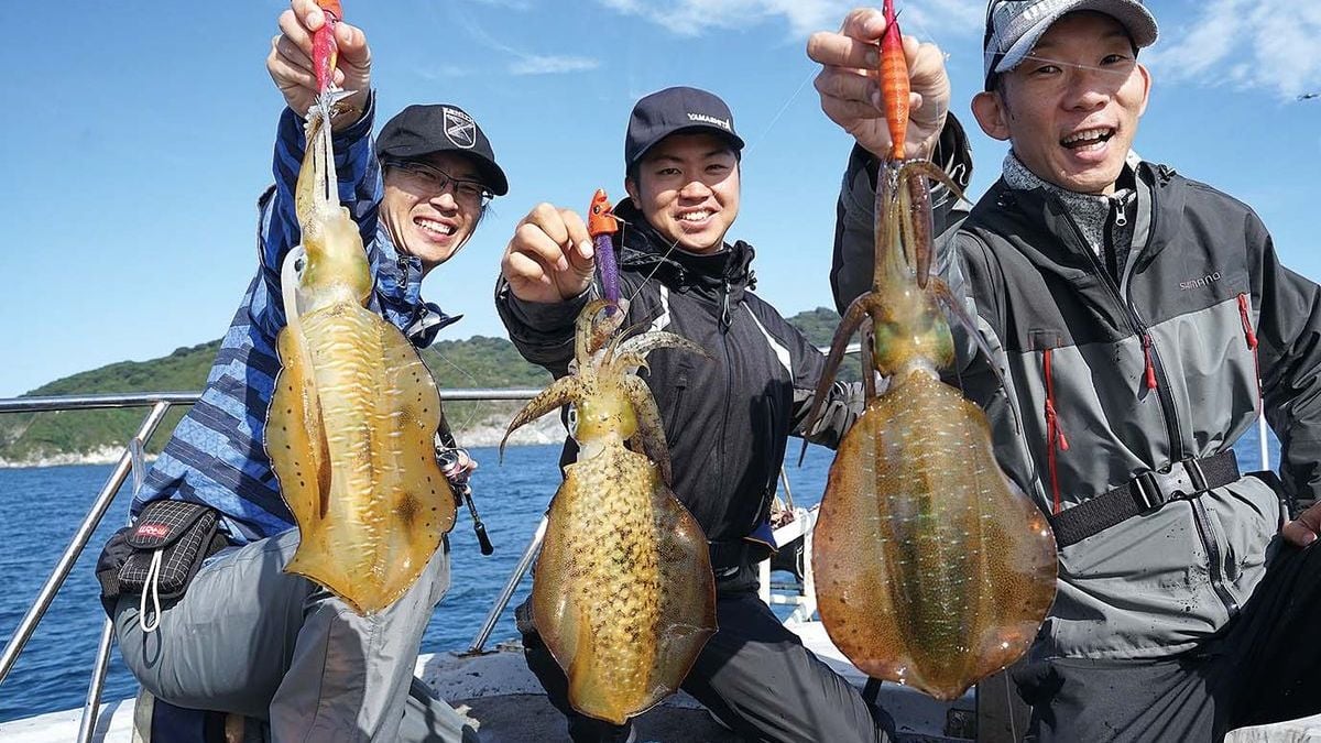 ティップランロッドおすすめ人気ランキング19選 21年最新 魚種別釣りガイド