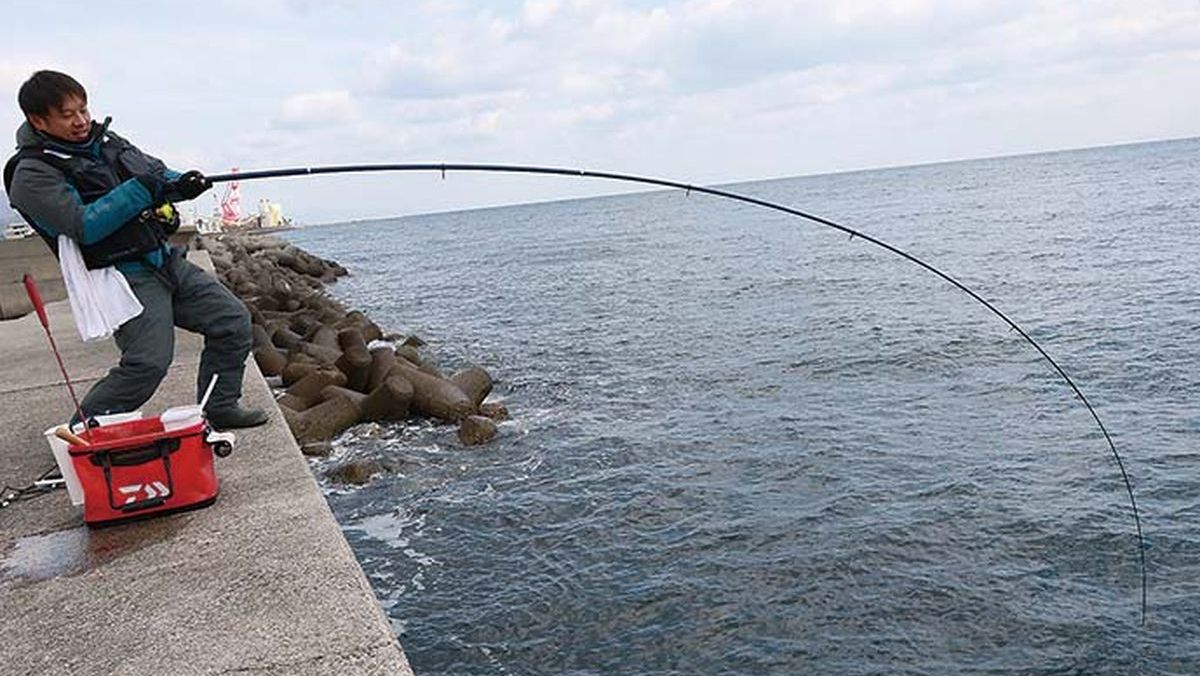 兵庫県淡路市 志筑新島のコブダイ釣り 全国おすすめ釣り場