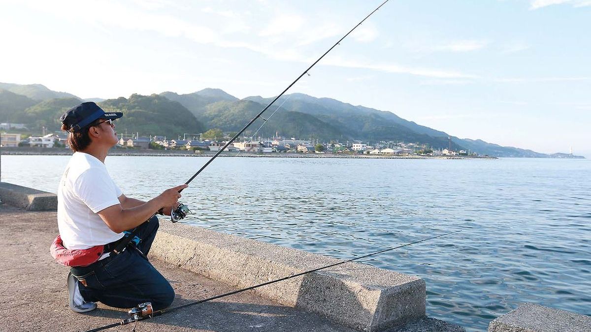 兵庫県神戸市 和田防波堤の青ものノマセ釣り 全国おすすめ釣り場