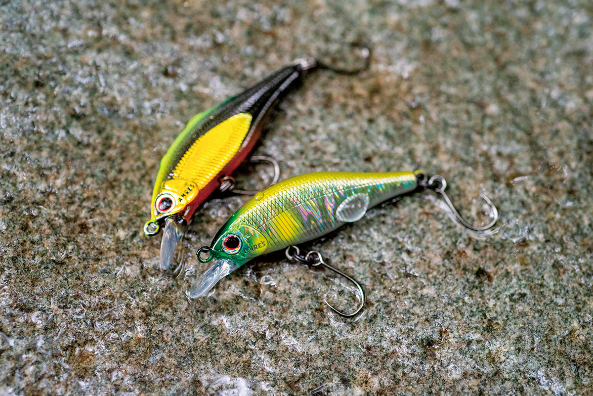 アレキサンドラAX-43HW