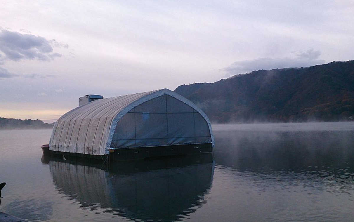 ワカサギ釣り 長野県大町市 木崎湖 全国おすすめ釣り場
