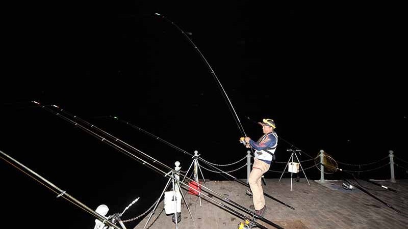 夜の投げ釣りは大型がねらいやすい