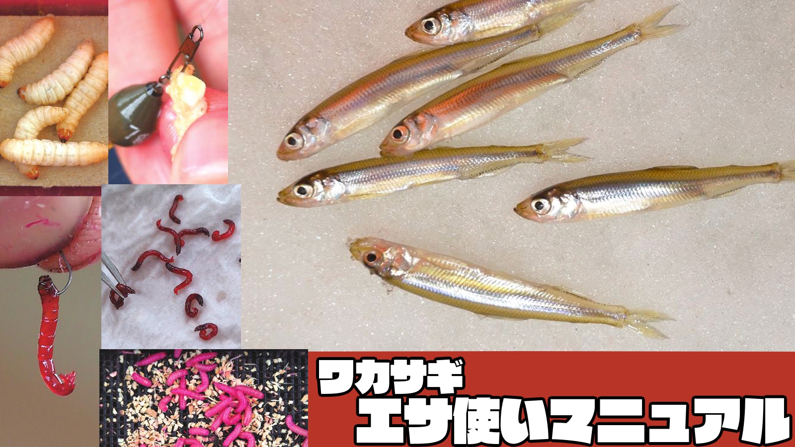 イエティ　ワカサギ釣り 電動リール付きワカサギ釣り専用竿に、左スイッチモデルが登場 | マイ