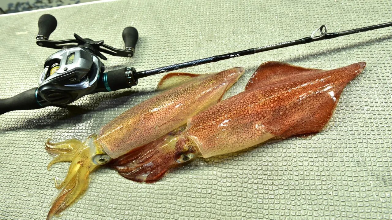 イカメタルの釣り方【3つのスタイルを名手が解説】メタルスッテ